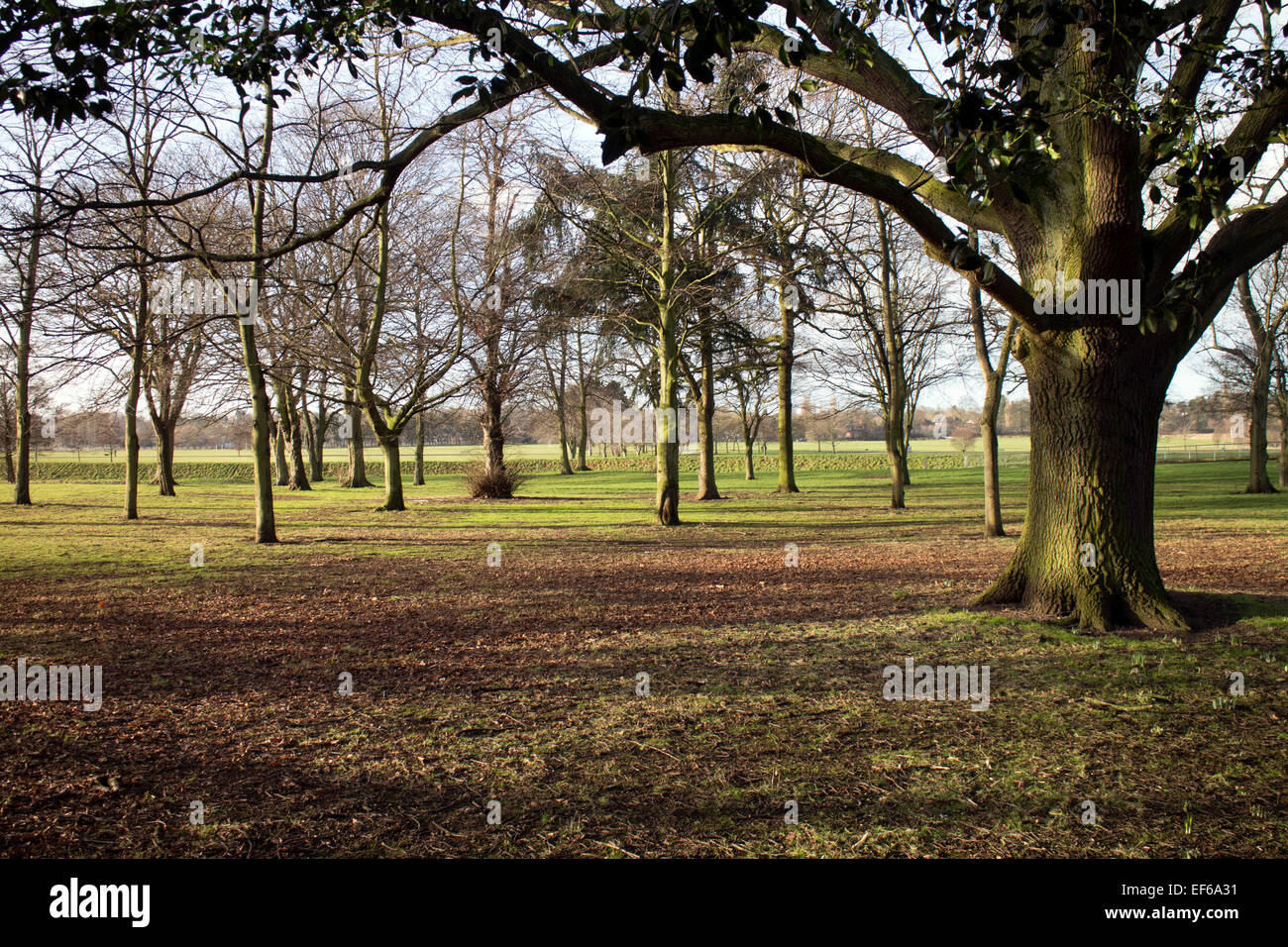 Perry Hall Park, Perry Barr, Birmingham, Regno Unito Foto Stock