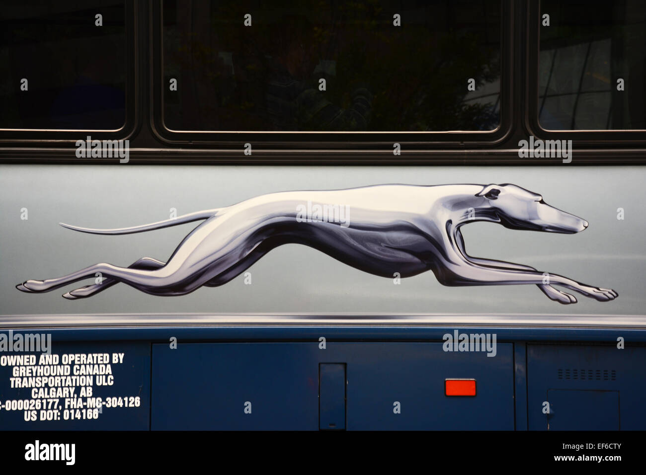 Autobus Greyhound Foto Stock