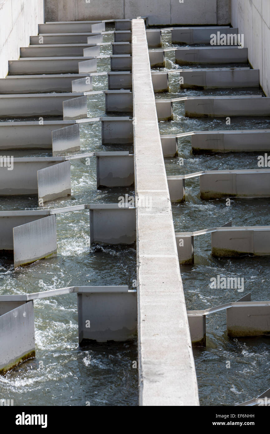 Pass di pesce, fiume Ruhr a Schwerte, una via navigabile artificiale per pesci, per nuotare su e giù per il fiume, per bypassare una diga Foto Stock