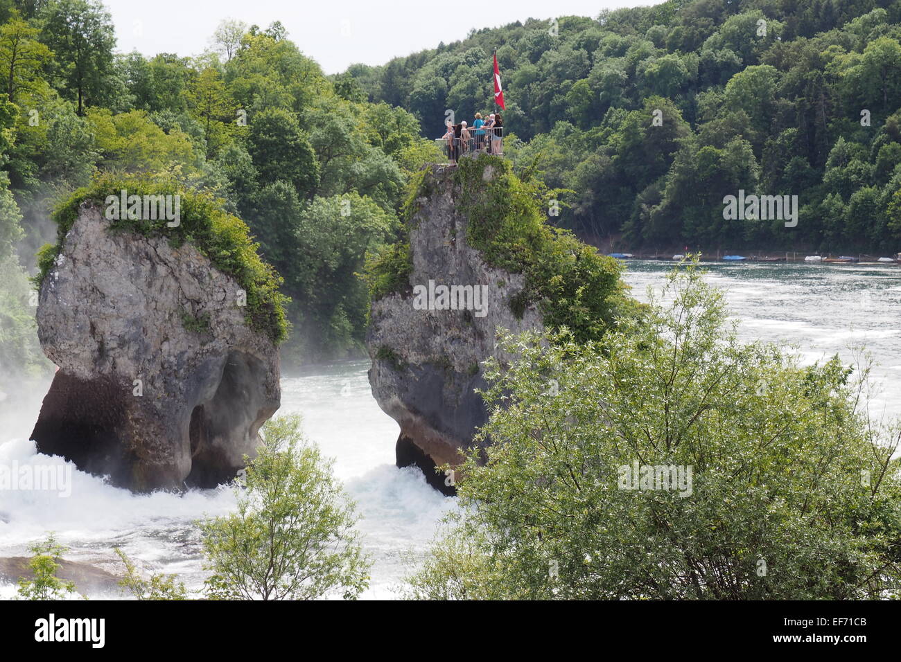 I turisti sulla piattaforma di visualizzazione su una grande roccia a Cascate del Reno. Foto Stock