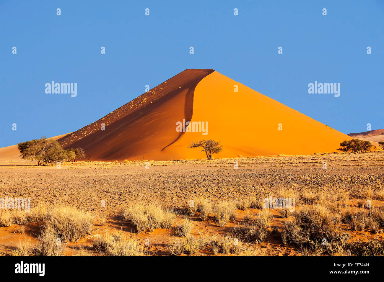 Dune di sabbia, Sossusvlei, Namib Desert, Namib-Naukluft National Park, Namibia Foto Stock