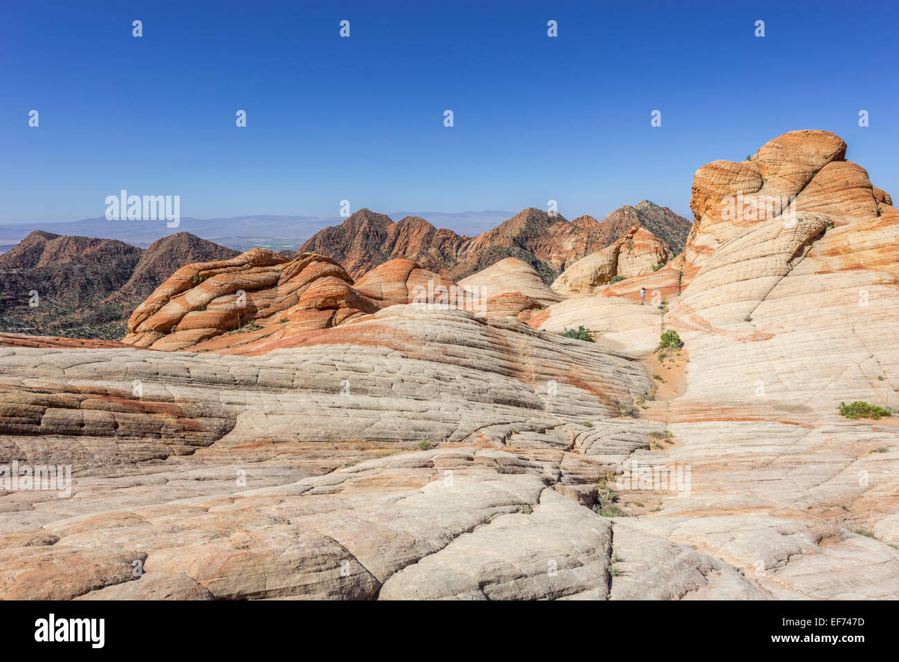 Candy cliffs, formazioni rocciose, Washington, Utah, Stati Uniti Foto Stock