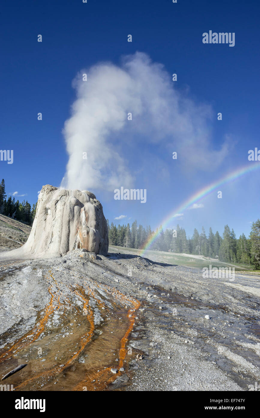 Lone Star geyser, il parco nazionale di Yellowstone, Wyoming negli Stati Uniti Foto Stock