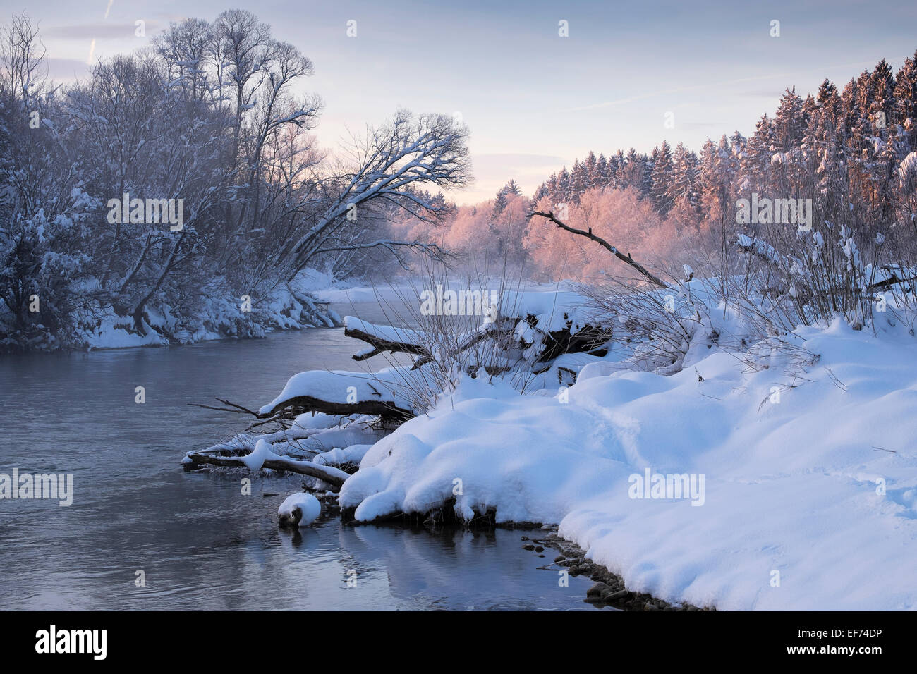 Inverno mattina, fiume Isar, Pupplinger Au, Geretsried, Alta Baviera, Baviera, Germania Foto Stock
