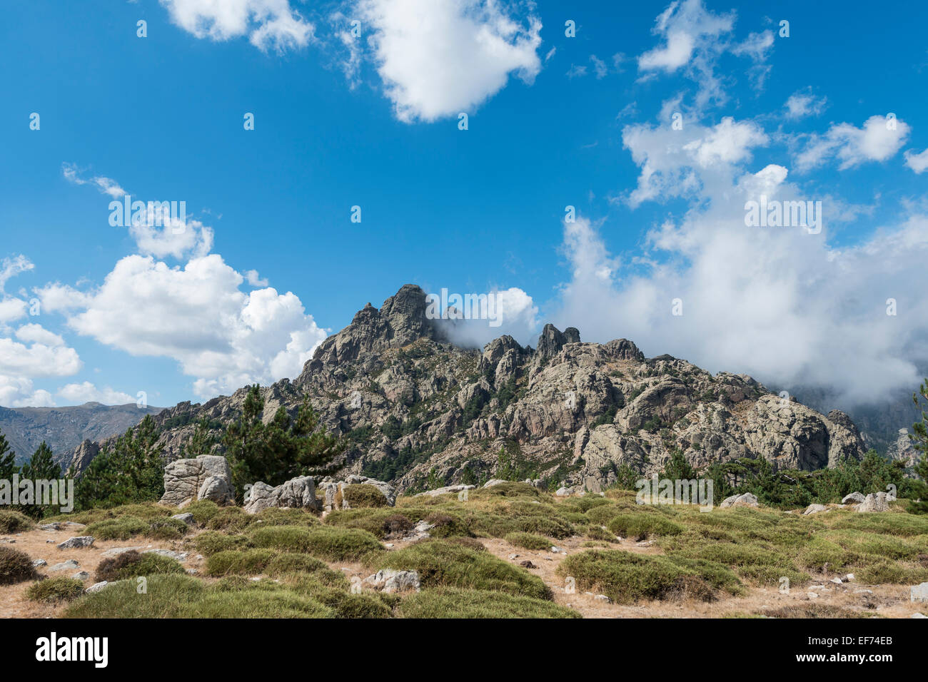 Rocky Mountain paesaggio, Col de Bavella, il Massiccio di Bavella, Corsica, Francia Foto Stock