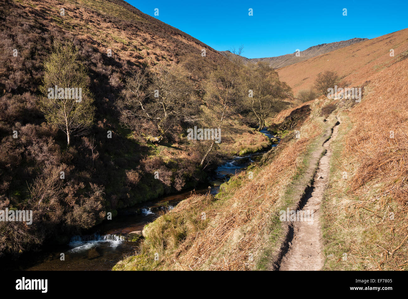 Accanto al percorso di flusso in Fairbrook nel Peak District. Vista a monte verso Kinder Scout. Foto Stock