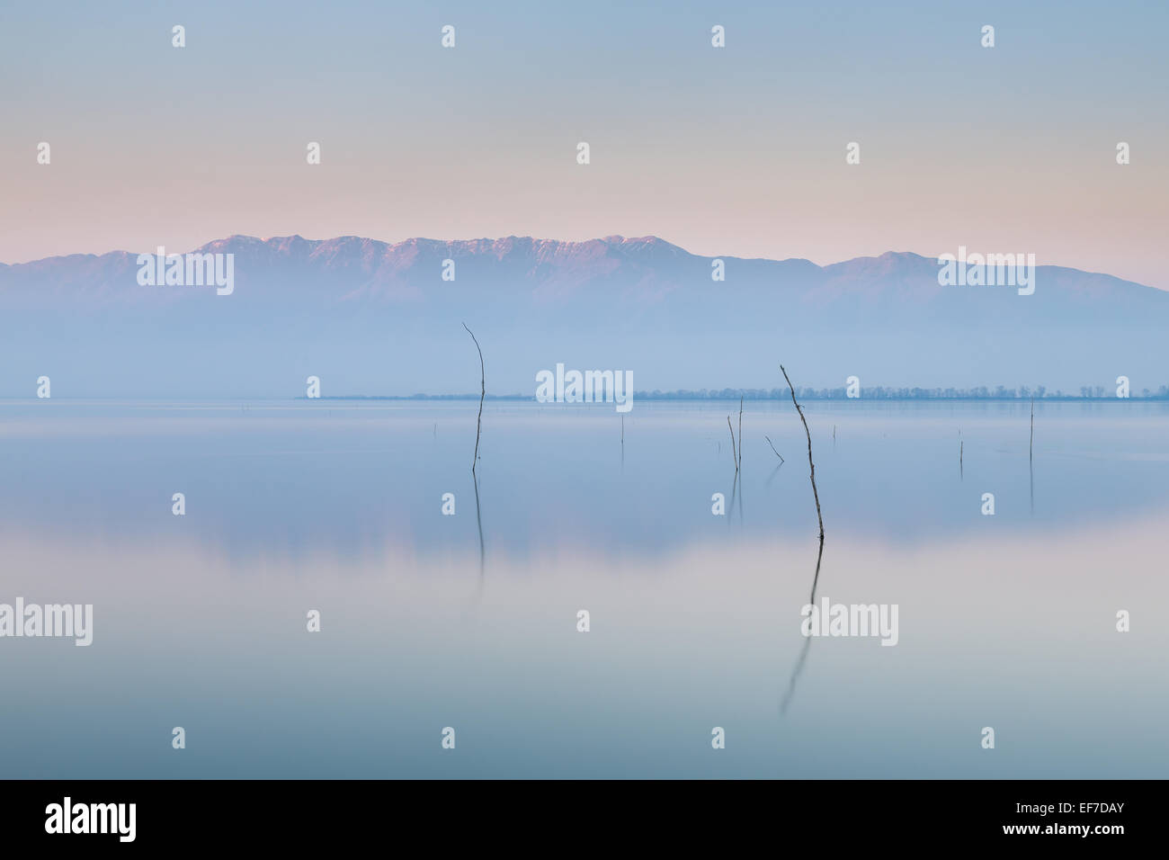Una tranquilla guardando il lago di Kerkini nella Grecia settentrionale dopo il sole era impostato Foto Stock