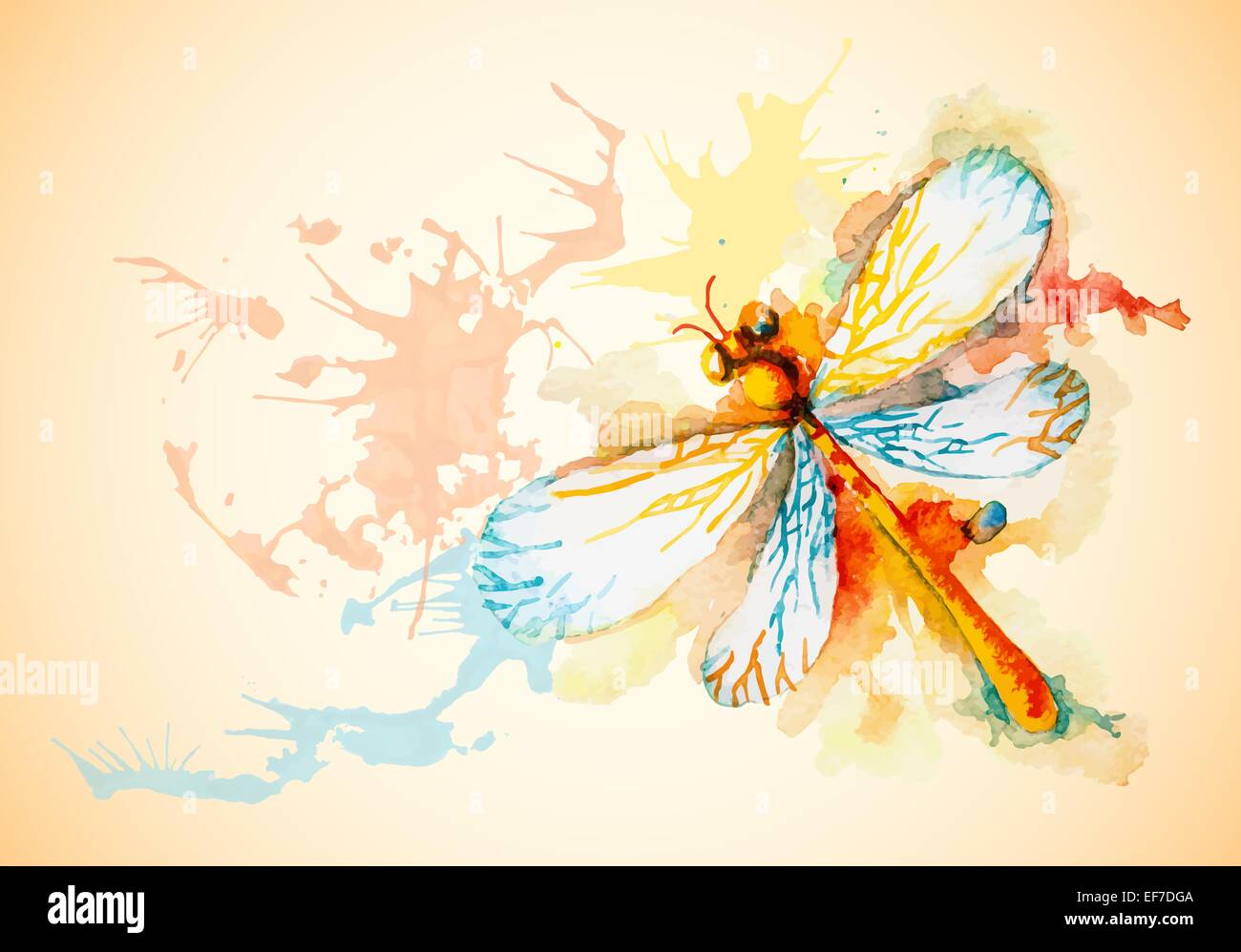 Vector grunge sfondo orizzontale con belle acquerello battenti libellula arancione Illustrazione Vettoriale