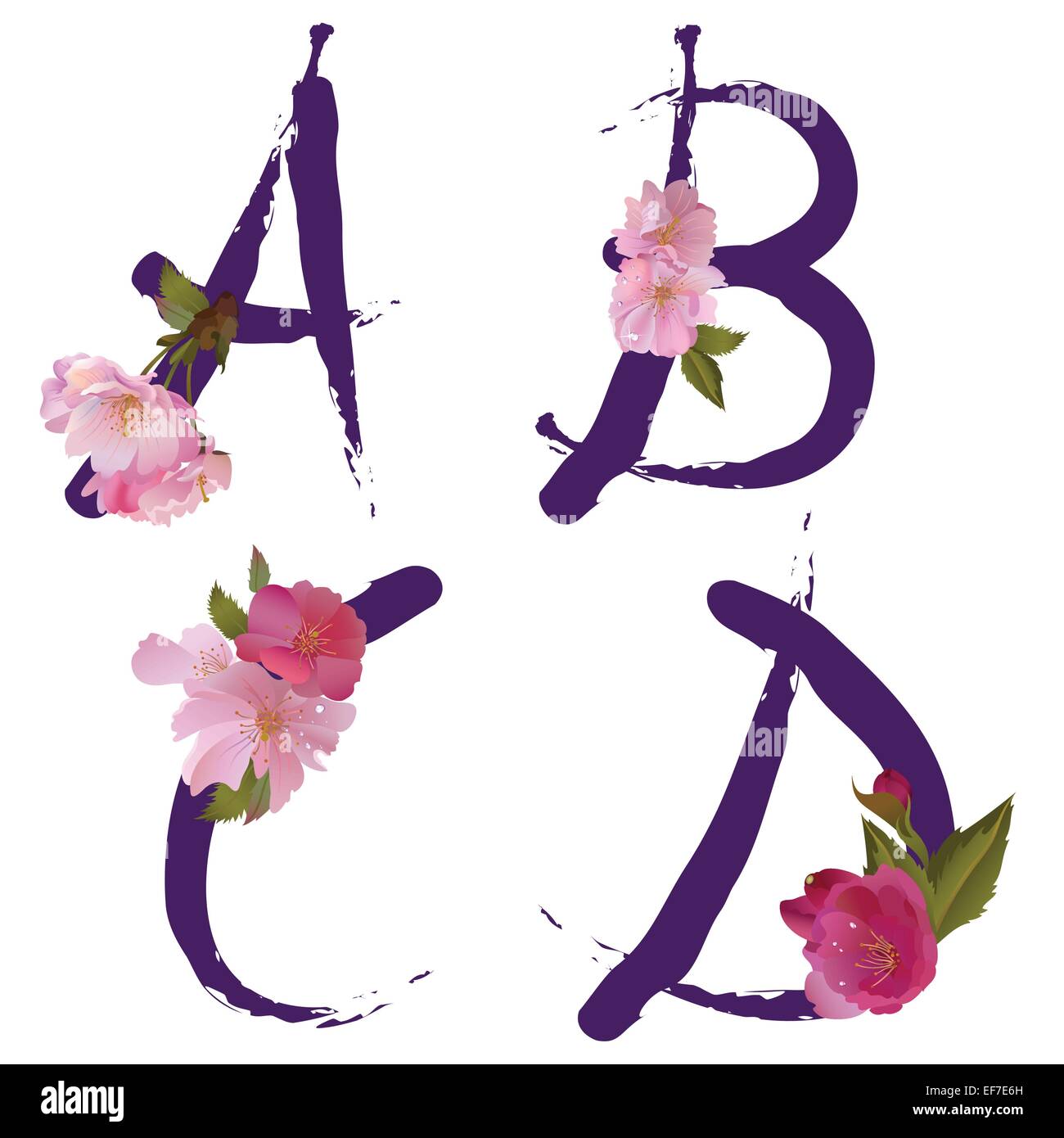 Molla di vettore alfabeto con delicati fiori sakura lettere A,B,C,D, come  scritto da inchiostro Immagine e Vettoriale - Alamy