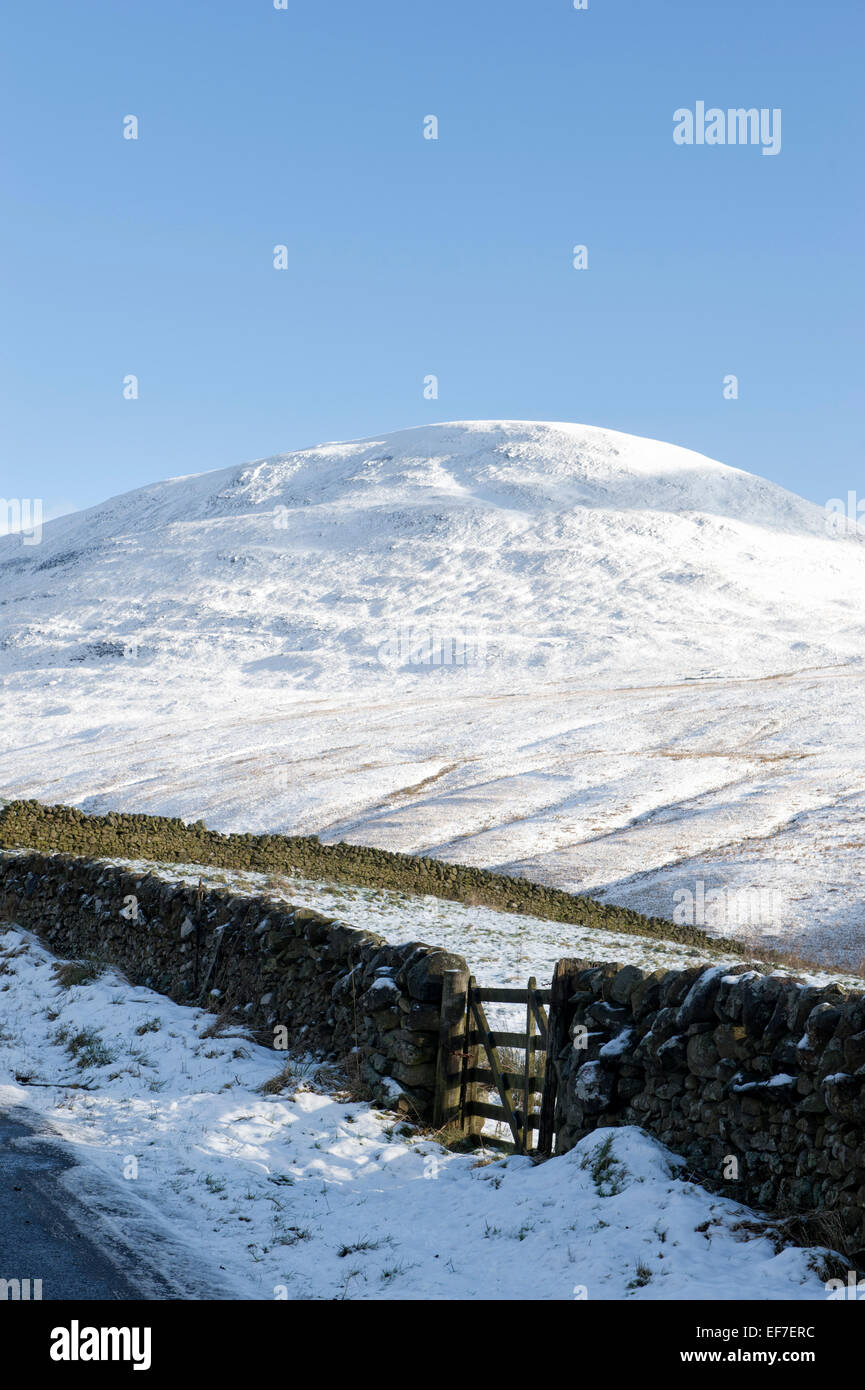 Coperte di neve collina scozzese, secco muro di pietra e fattoria. Scottish Borders, Scozia Foto Stock