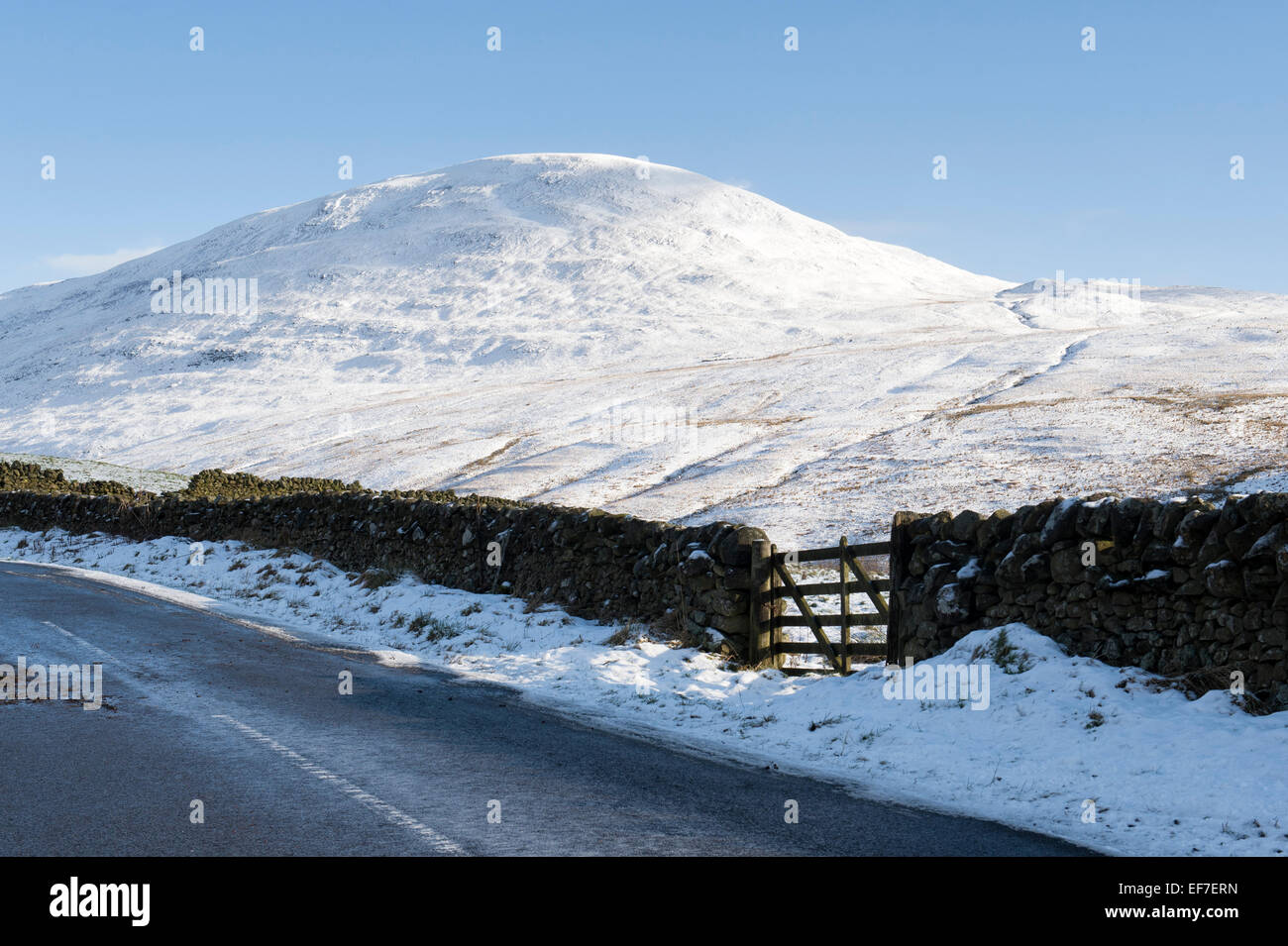 Coperte di neve collina scozzese, secco muro di pietra e fattoria. Scottish Borders, Scozia Foto Stock