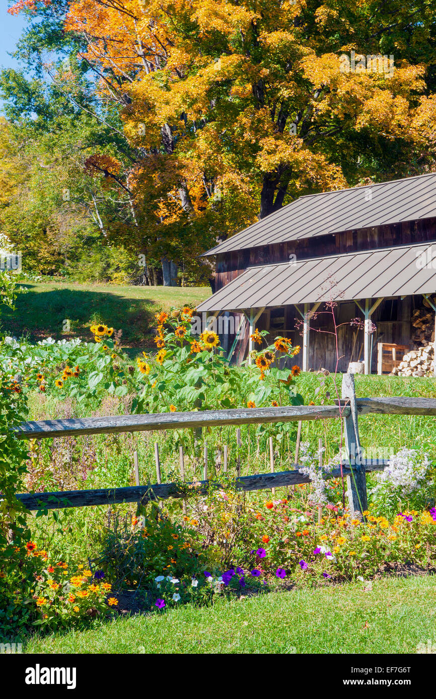 Autunno scenic - Garden cottage, split-rail recinzione, legnaia e fogliame di autunno in Vermont, Stati Uniti d'America. Foto Stock