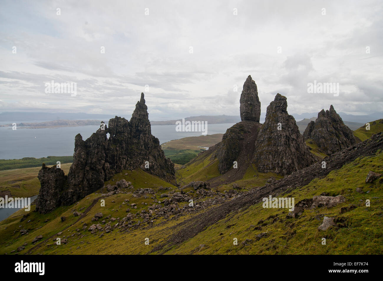 Il Storr è una collina rocciosa sulla penisola di Trotternish dell'Isola di Skye in Scozia. Foto Stock