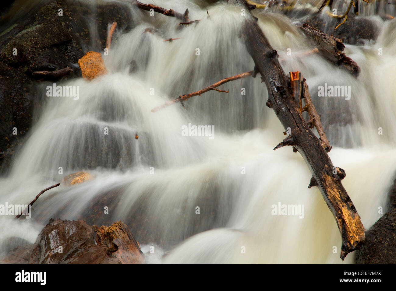 La Chiquita Creek, Rocky Mountain National Park, COLORADO Foto Stock