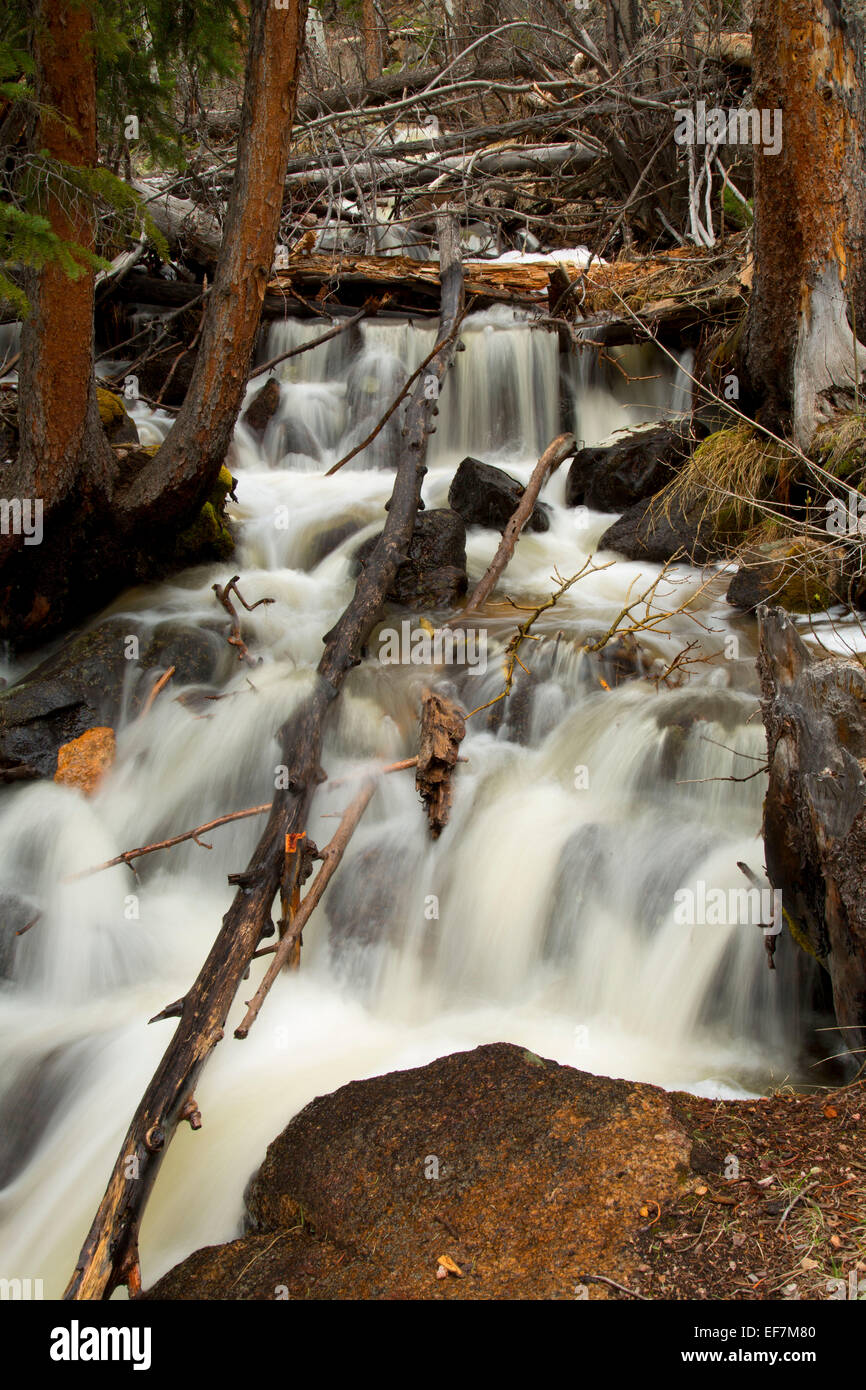 La Chiquita Creek, Rocky Mountain National Park, COLORADO Foto Stock