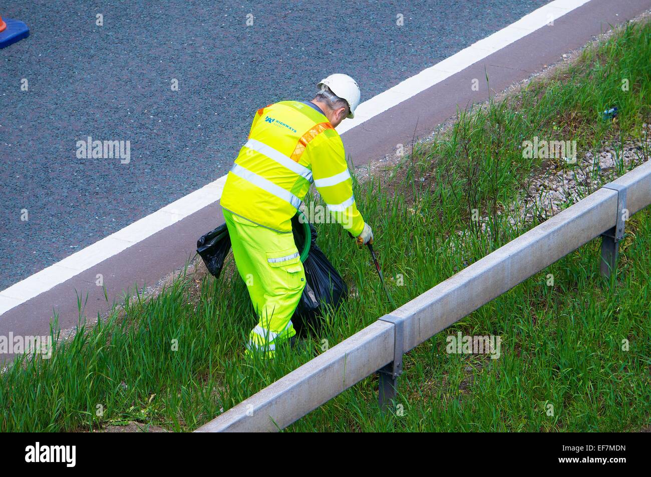 Highways Agency cucciolata picking, M6 Cumbria Inghilterra England Regno Unito. Foto Stock