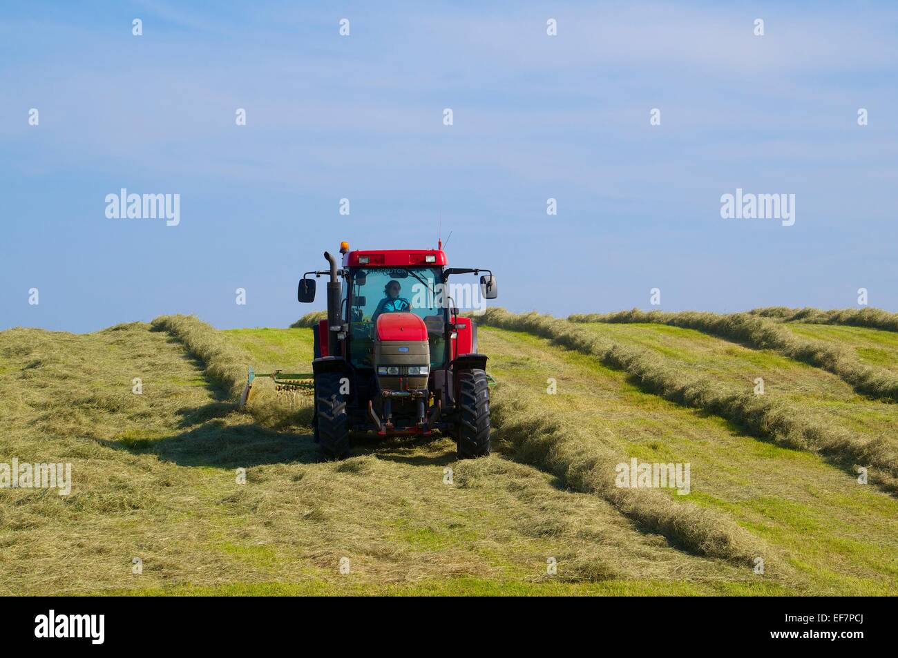 Trattore a rastrellare il fieno. Northumberland, Inghilterra, Regno Unito. Foto Stock