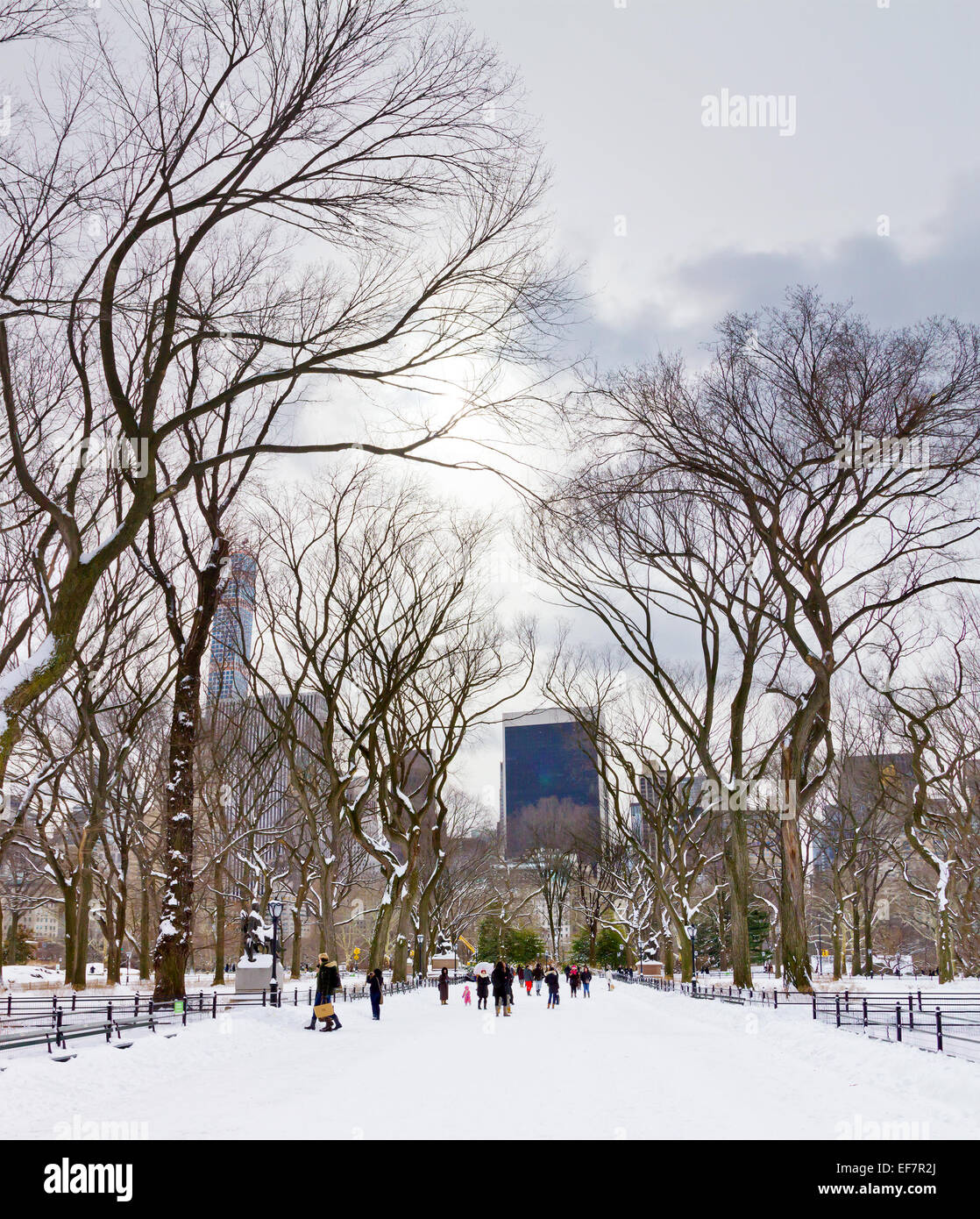 NEW YORK CITY - Gennaio 2015: una folla di persone godono della recente nevicata nel Central Park dopo una grande stagione invernale blizzard Foto Stock