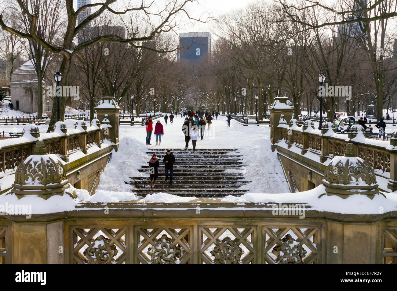 NEW YORK CITY - Gennaio 2015: una folla di persone godono della recente nevicata nel Central Park dopo una grande stagione invernale blizzard Foto Stock