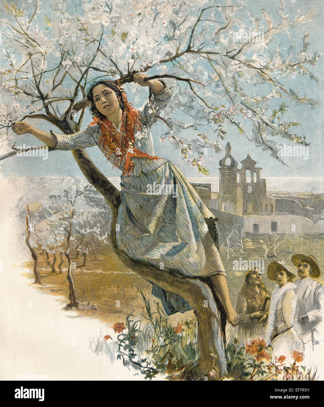 Una giovane donna si arrampica su un mandorlo in Sicilia, xilografia da Emil Rosenstand Foto Stock