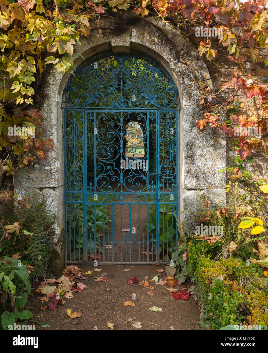 Cancellata in ferro battuto set in a Cotswold arcata in pietra e incorniciato da foglie di vite visualizzazione sfumature autunnali a Rousham House, Oxfordshire, Inghilterra Foto Stock