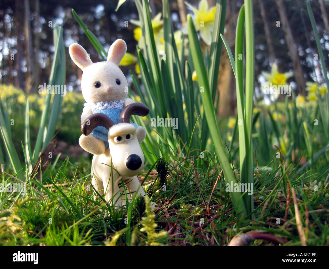 Giddy up! Foto Stock