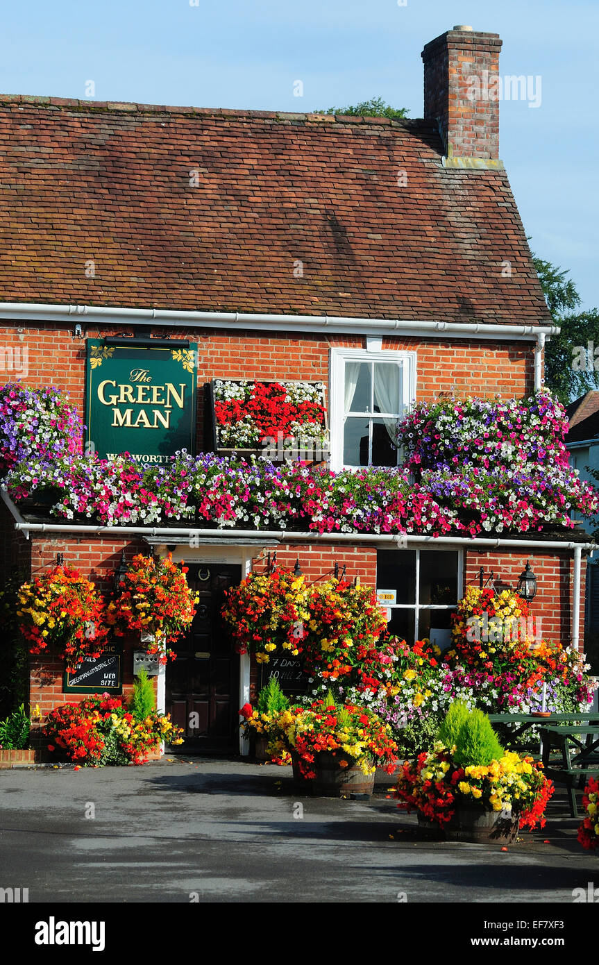 Un colorato annuale di fiori in mostra al di fuori di un pub di Dorset Regno Unito Foto Stock