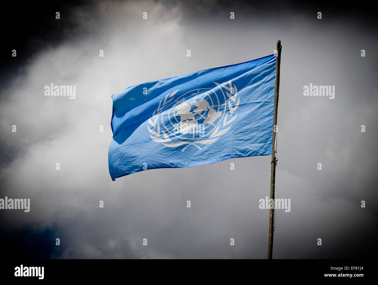 La bandiera delle Nazioni Unite Foto Stock