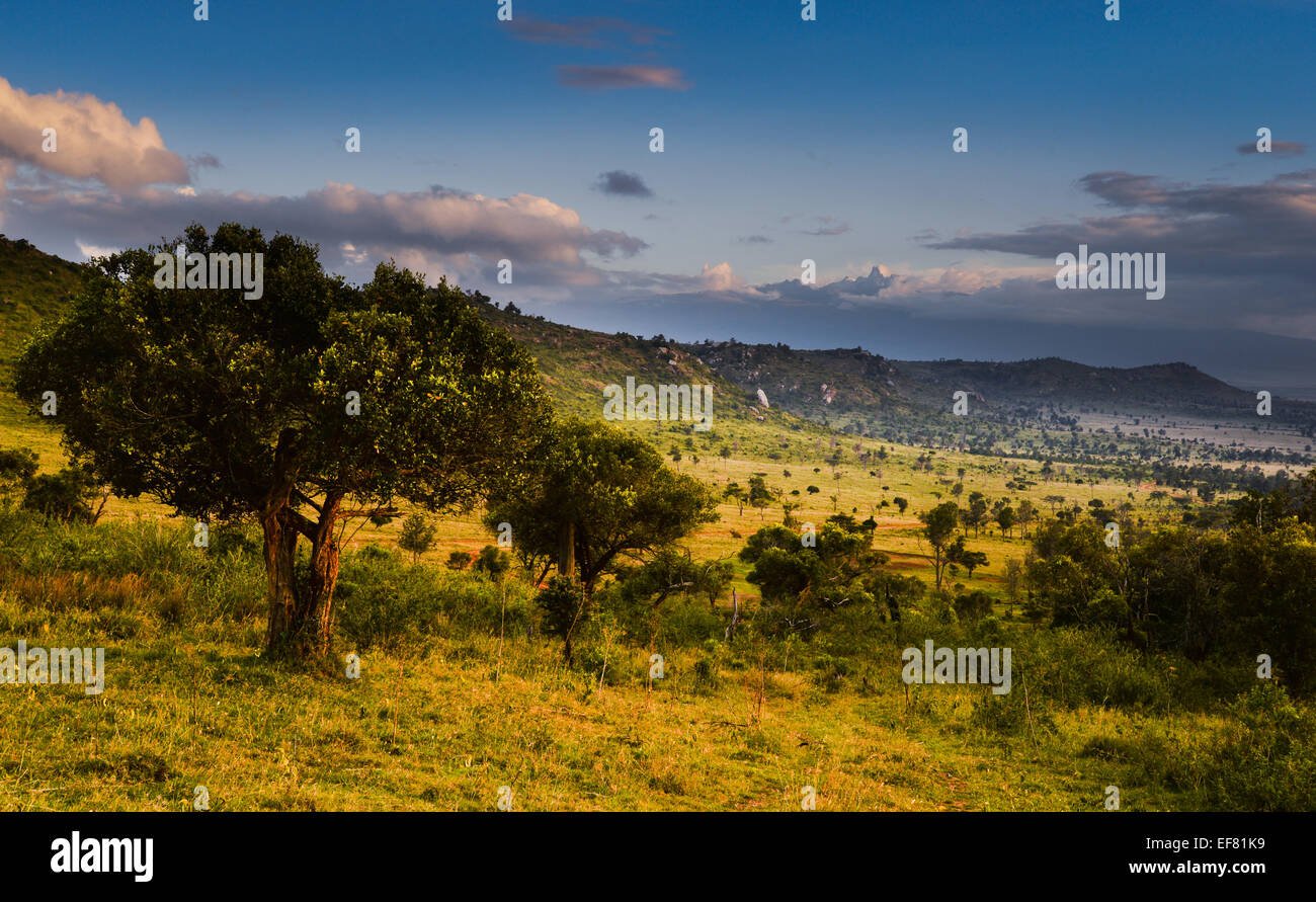 Il quartiere Lakipia nella regione centrale del Kenya, sull'equatore guardando a sud verso il monte Kenya Foto Stock