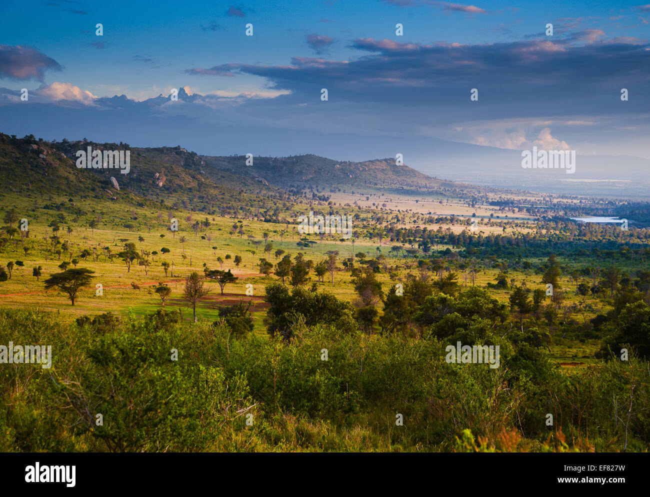 Il quartiere Lakipia nella regione centrale del Kenya, sull'equatore guardando a sud verso il monte Kenya Foto Stock