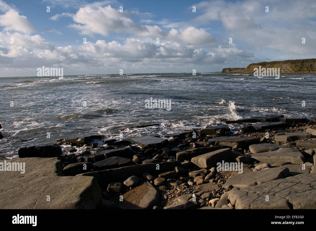 Kimmeridge Bay, Jurassic Coast, Dorset Foto Stock