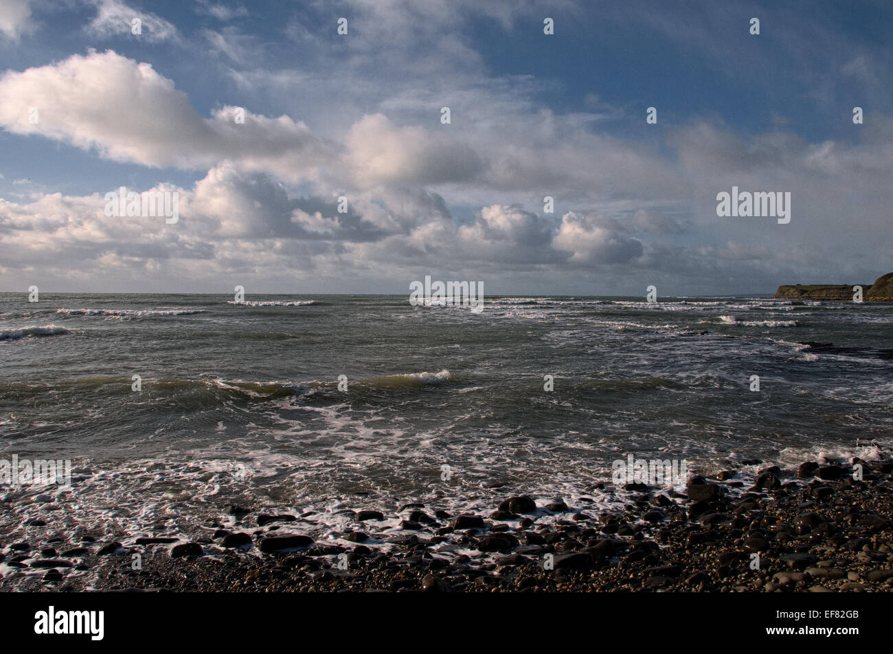 Kimmeridge Bay, Jurassic Coast, Dorset Foto Stock