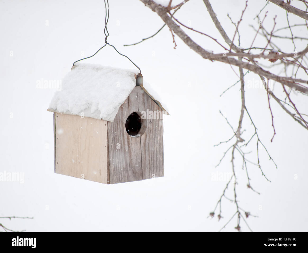 Casa degli uccelli in inverno, con la neve che cade su di esso Foto Stock