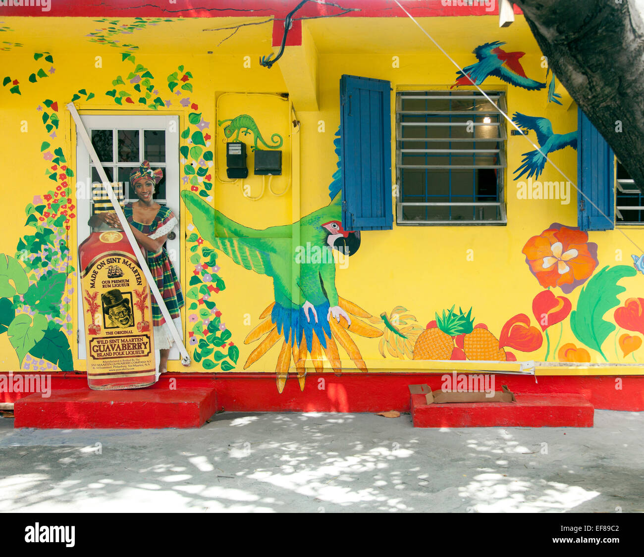 Facciata colorata su Sint Maartin con pubblicità popolare liquore di rum. Foto Stock