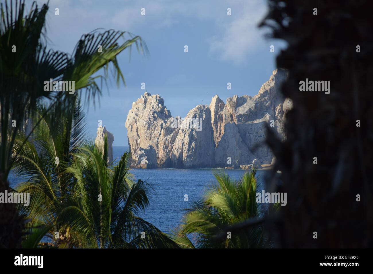 Cabo San Lucas rocce attraverso le palme. Foto Stock