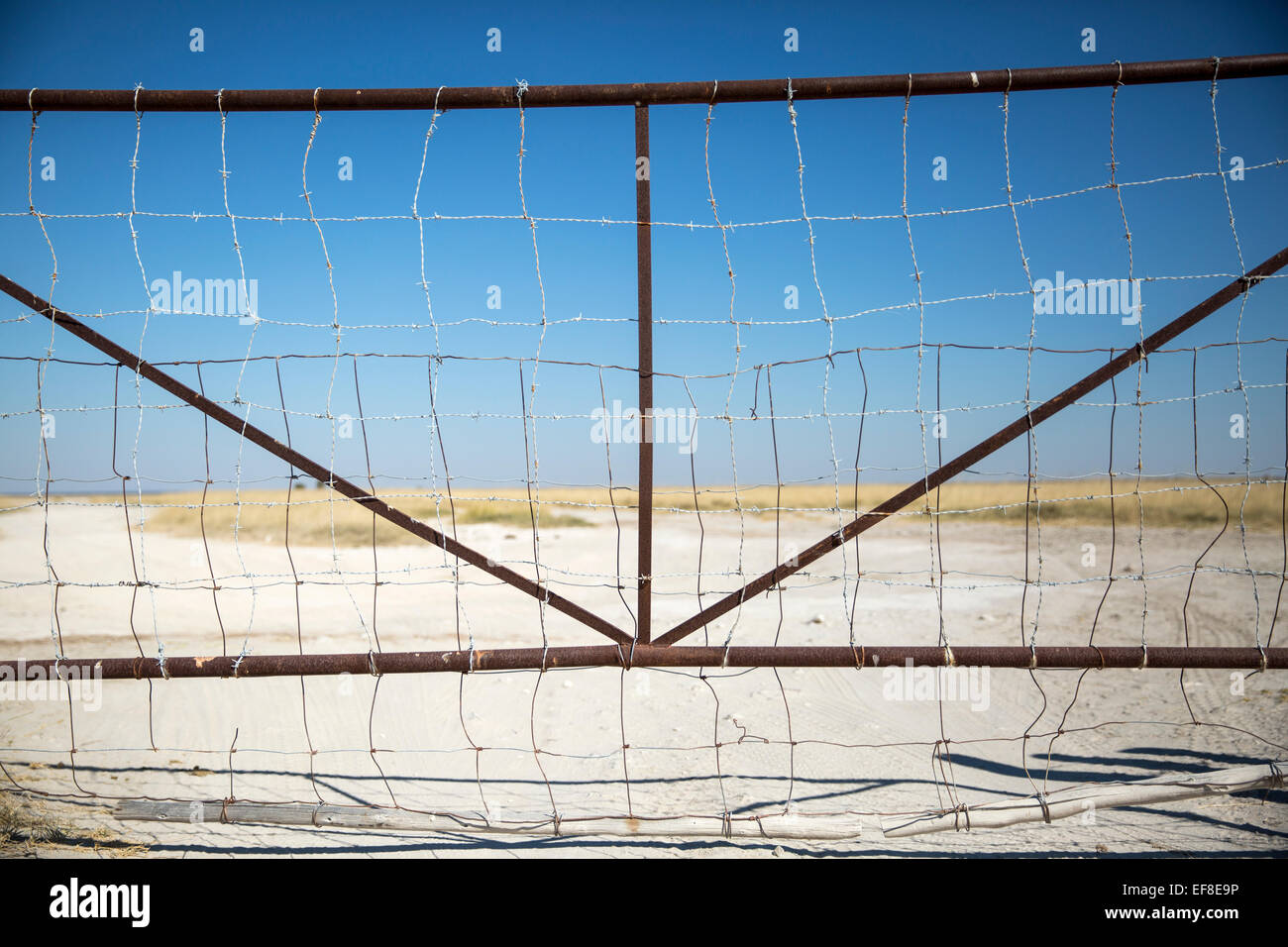 Africa, Botswana, agricolo cancello di recinzione lungo via safari attraverso Makgadikgadi Pan nel Deserto Kalahari Foto Stock