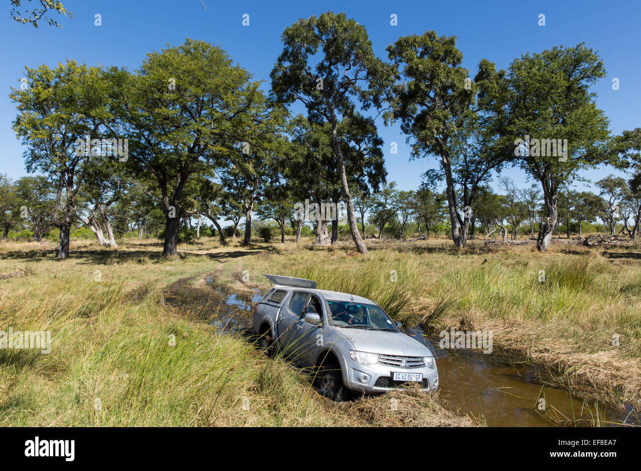 Africa, Botswana, Moremi Game Reserve, la trazione a quattro ruote motrici safari carrello bloccato nel fango su allagato safari via nei pressi di Xakanaxa camp. Foto Stock