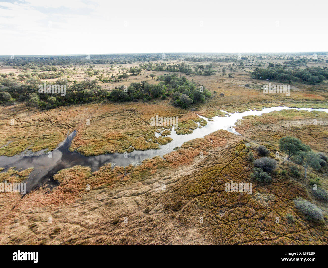 Africa, Botswana, Moremi Game Reserve, vista aerea del fiume Khwai fluente attraverso l'Okavango Delta nel deserto del Kalahari Foto Stock