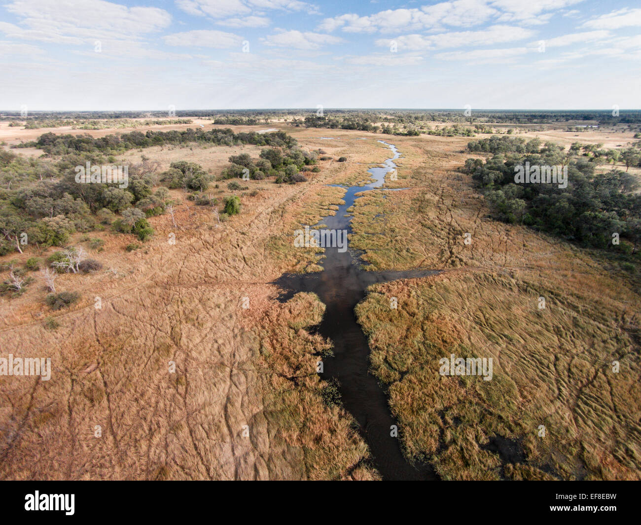 Africa, Botswana, Moremi Game Reserve, vista aerea del fiume Khwai fluente attraverso l'Okavango Delta nel deserto del Kalahari Foto Stock