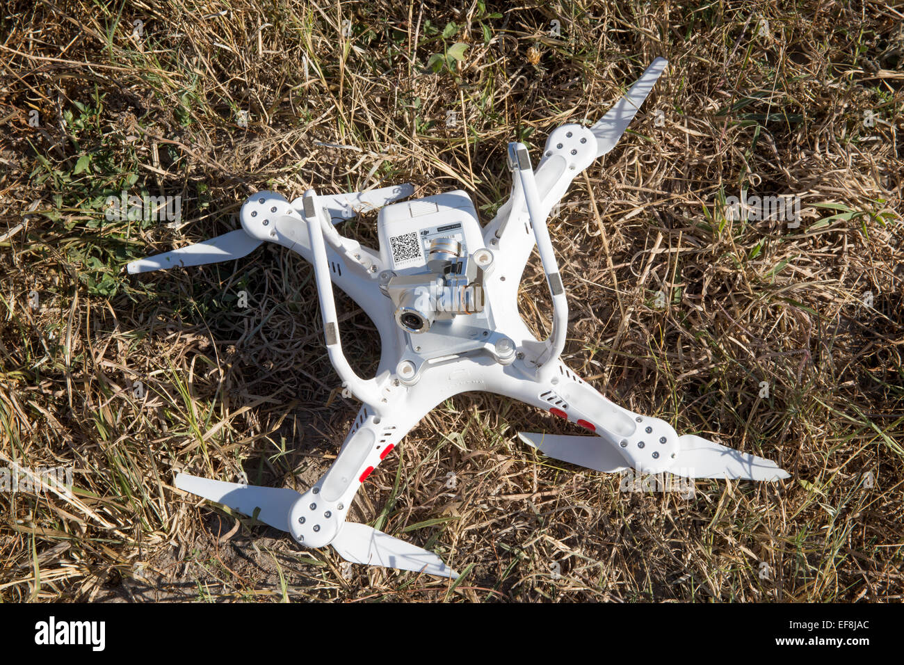 Africa, Botswana, Moremi Game Reserve, resti di DJI Phantom quadcopter drone dopo il crash in albero mentre si fotografa safari Foto Stock