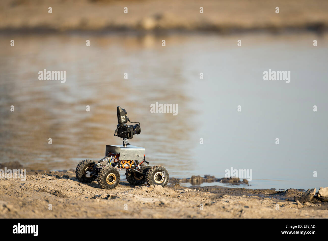 Africa, Botswana Chobe National Park, fotocamera remota rover posizionato dal foro di acqua in Savuti Marsh utilizzato per la fotografia Elephant Foto Stock