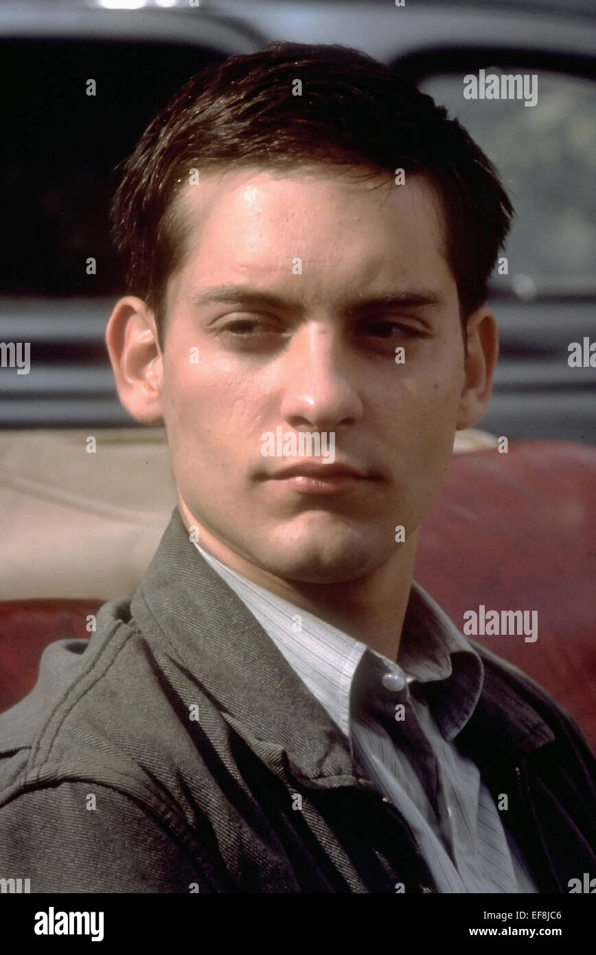 Le Regole Della Casa Del Sidro Streaming