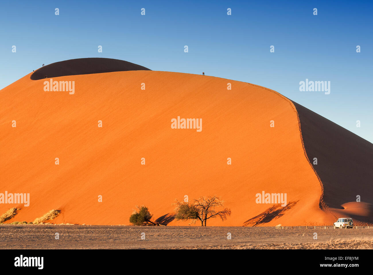 I cinque turisti a piedi sulla parte superiore del gigante duna arancione 45 in Sossusvlei, Namib Desert, Namibia, Africa Foto Stock