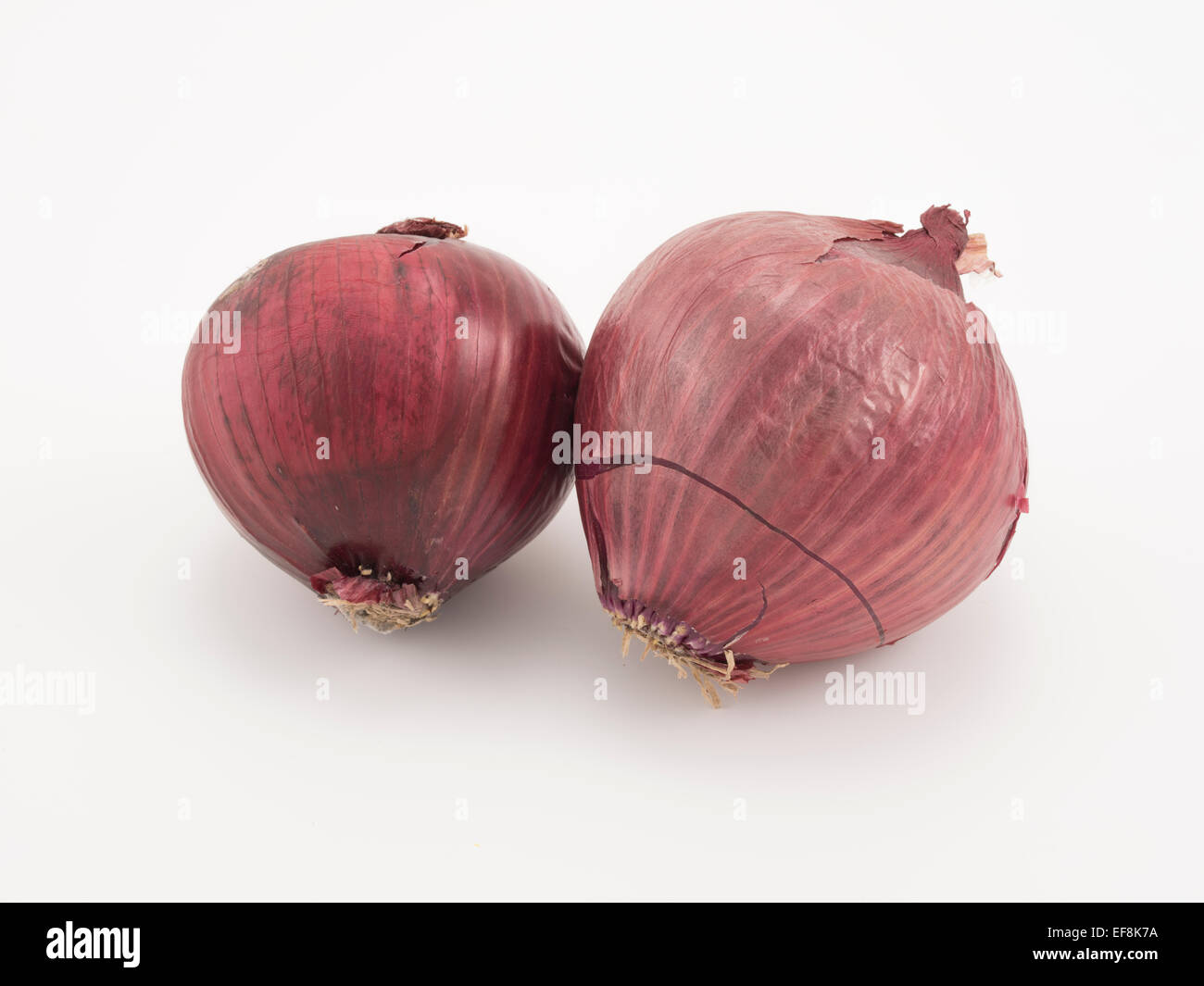 Rosso ( Viola ) cipolle. In alto : flavanoidi. Foto Stock