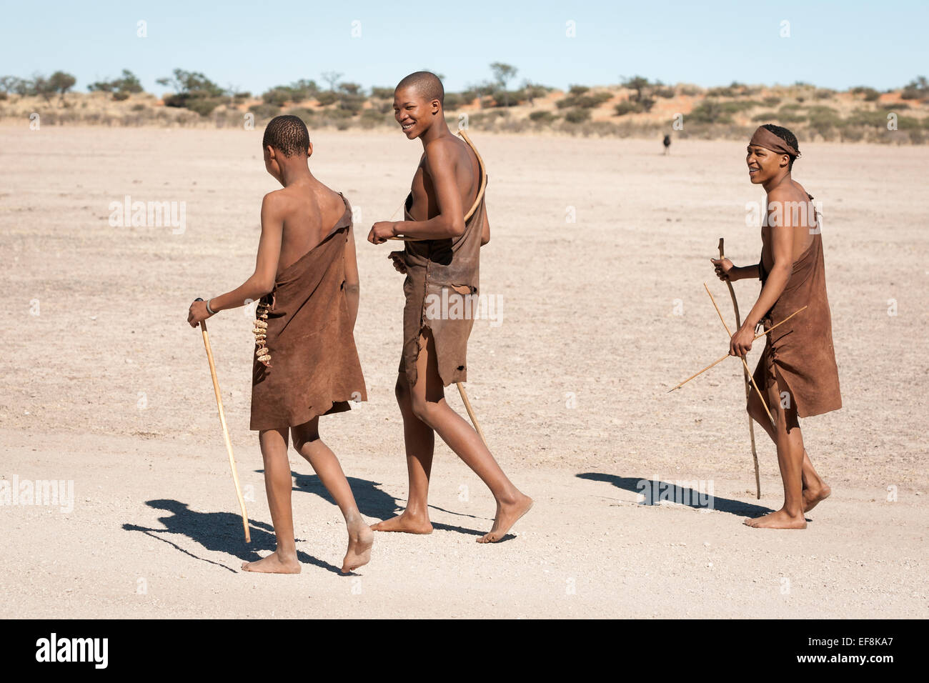 Tre i Boscimani che indossa la pelle animale tuniche in pelle a piedi lungo il deserto con archi e frecce a caccia del Kalahari Namibia Foto Stock