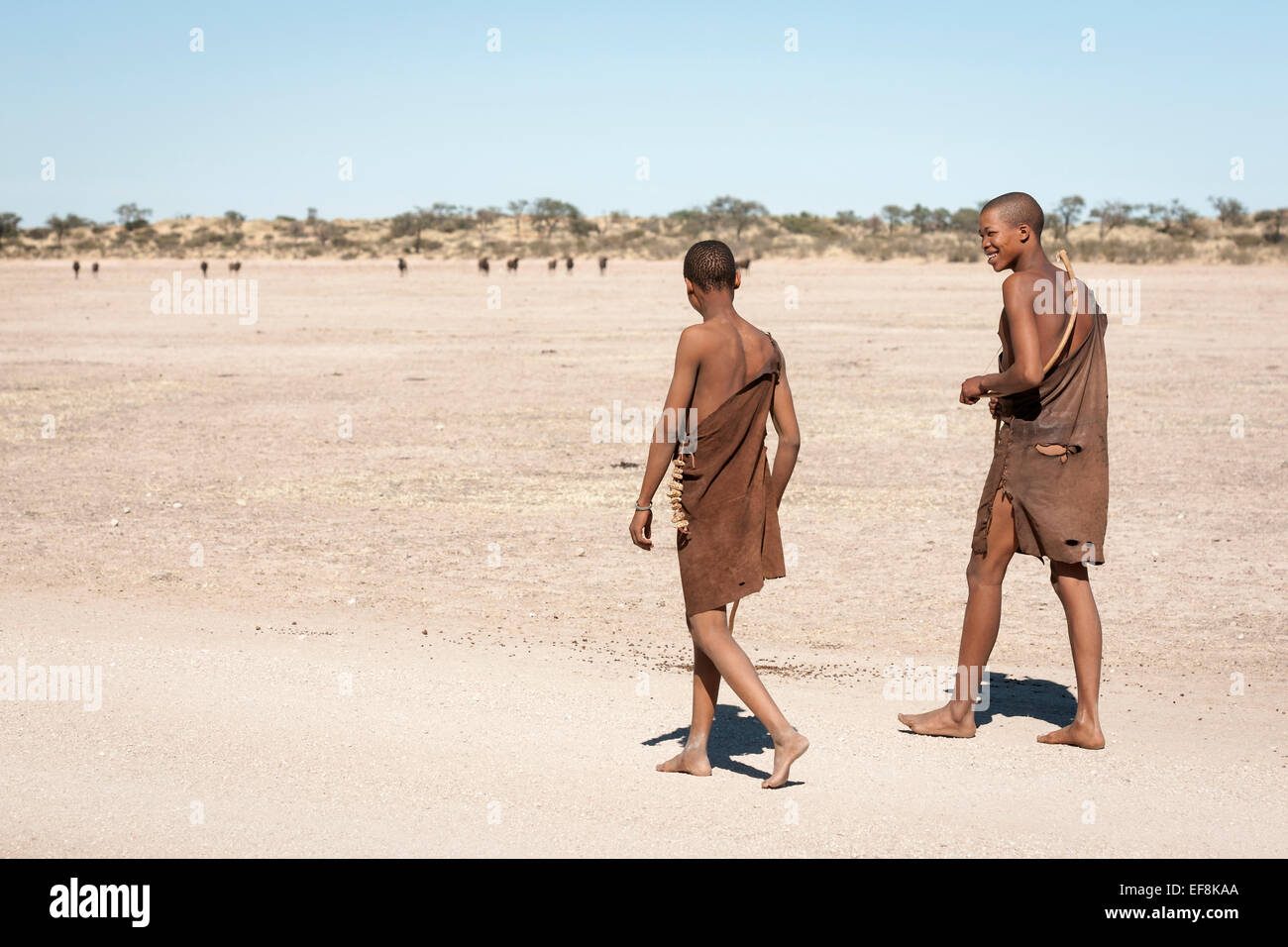 Due Boscimani che indossa la pelle animale tuniche di pelle camminare a piedi nudi sulla sabbia del deserto con GNU in distanza, il Kalahari, Namibia, Foto Stock