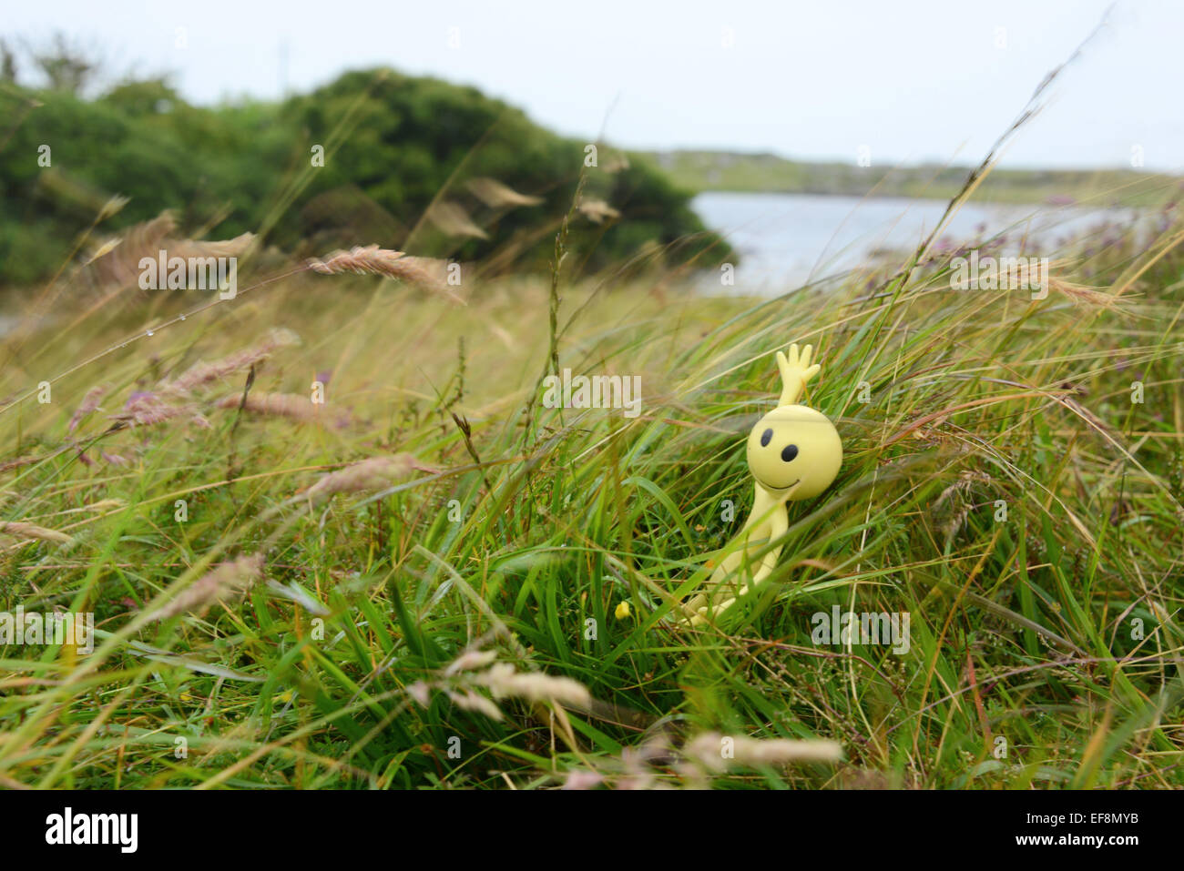 Gialli Smiley uomo in vacanza nelle Ebridi Esterne - qui egli è seduta in movimento sfocati ventoso erba da un lago con un'isola Foto Stock