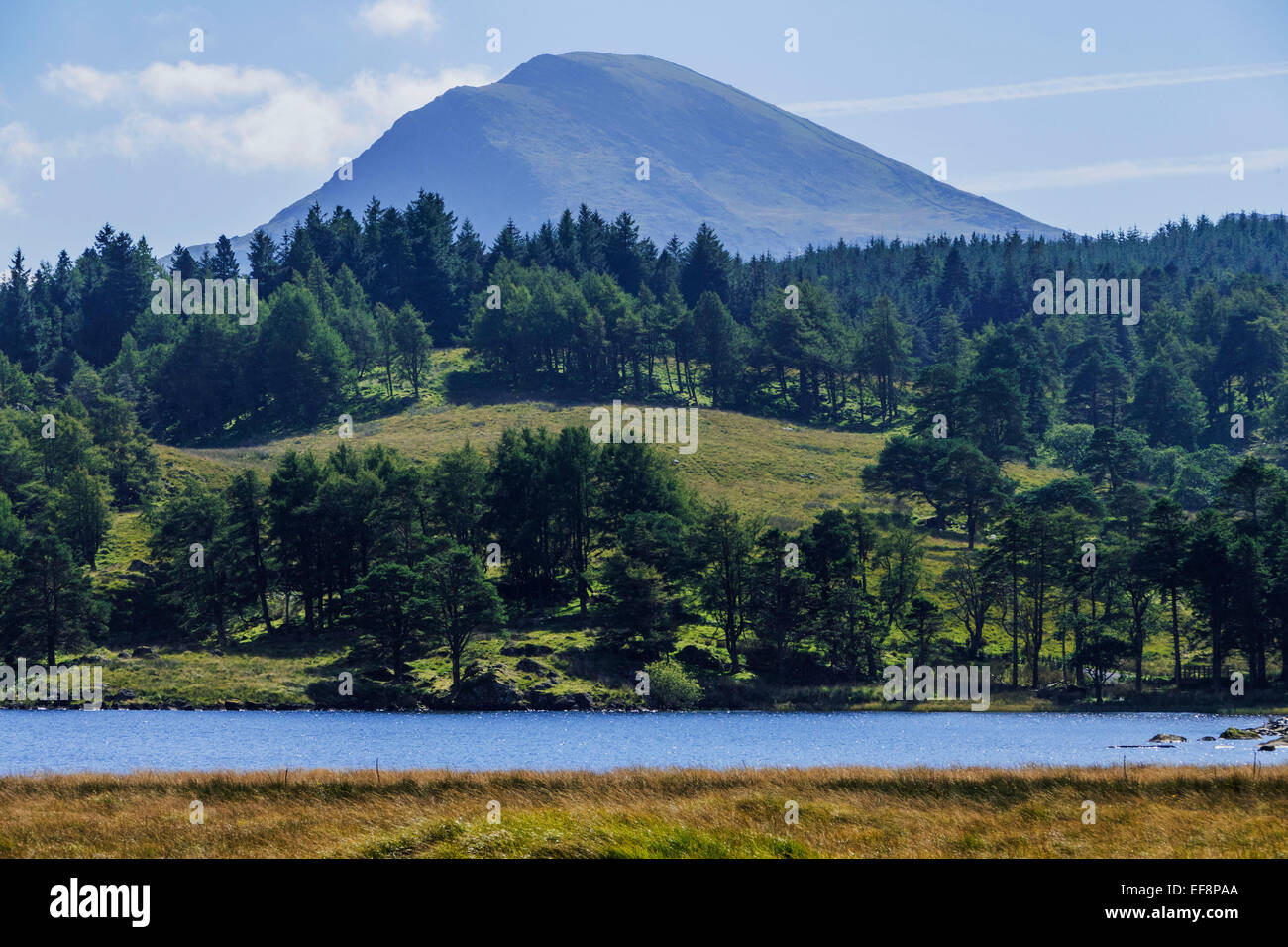 Parco Nazionale di Snowdonia gwynedd north Wales UK Foto Stock