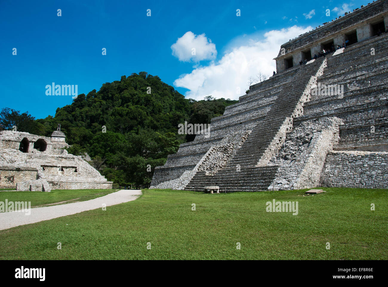 Messico Chiapas Palenque, facciata del tempio delle iscrizioni Foto Stock