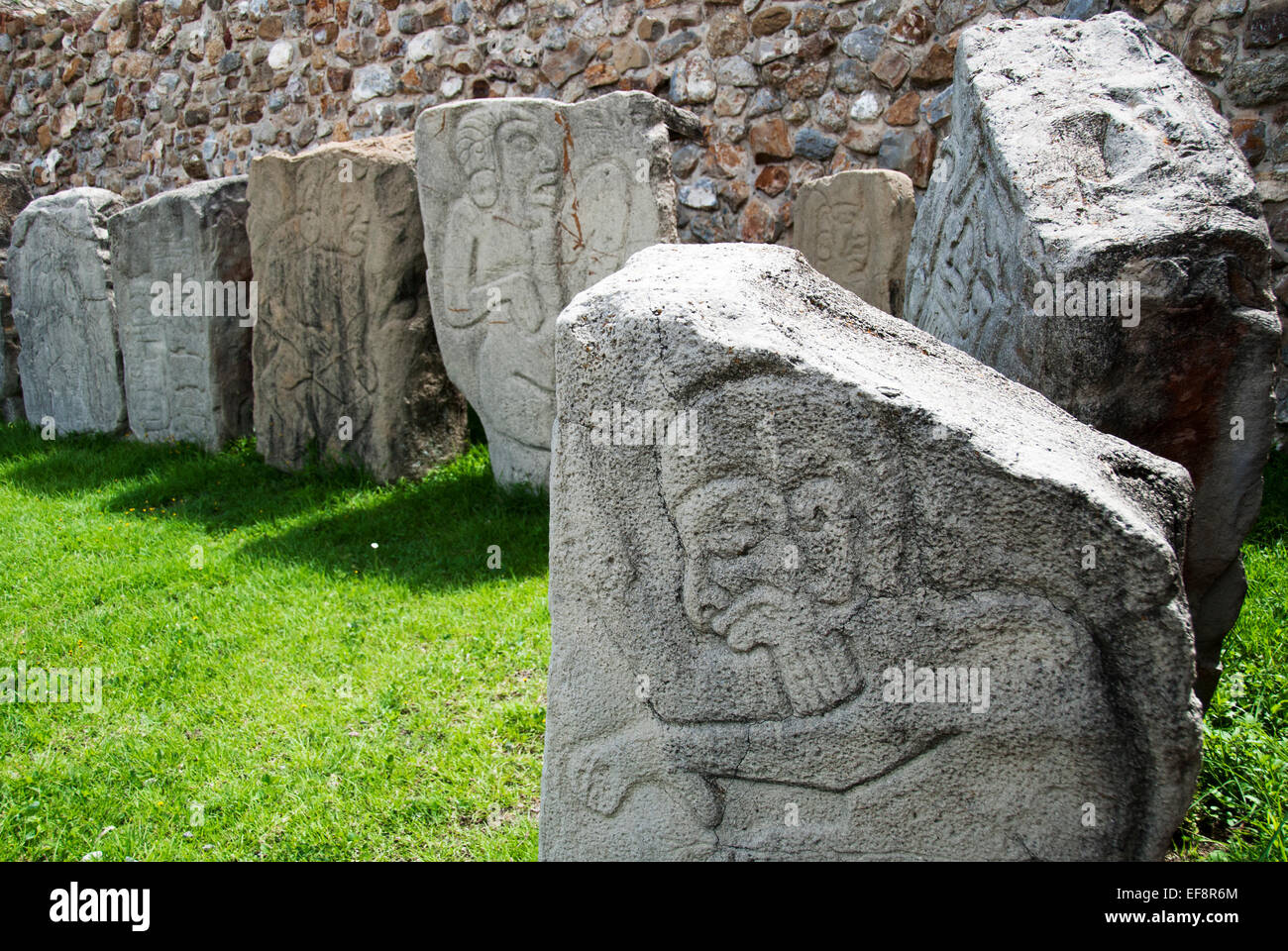Messico Oaxaca, Santa Cruz Xoxocotlan, Monte Alban, lastre di pietra con le sculture esposte sull'erba Foto Stock